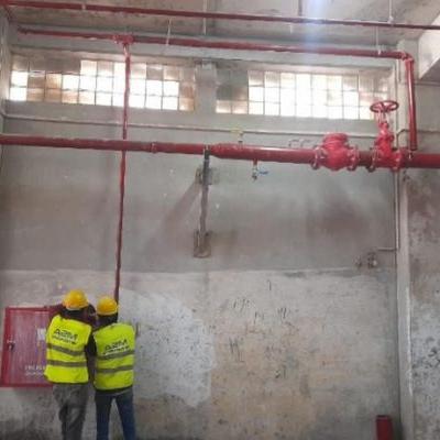 Amerya Intercement3